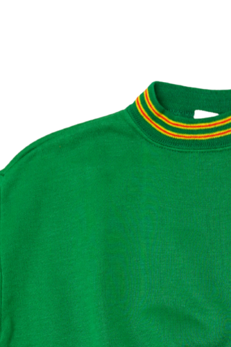 VINTAGE SWEATSHIRT | kelly green