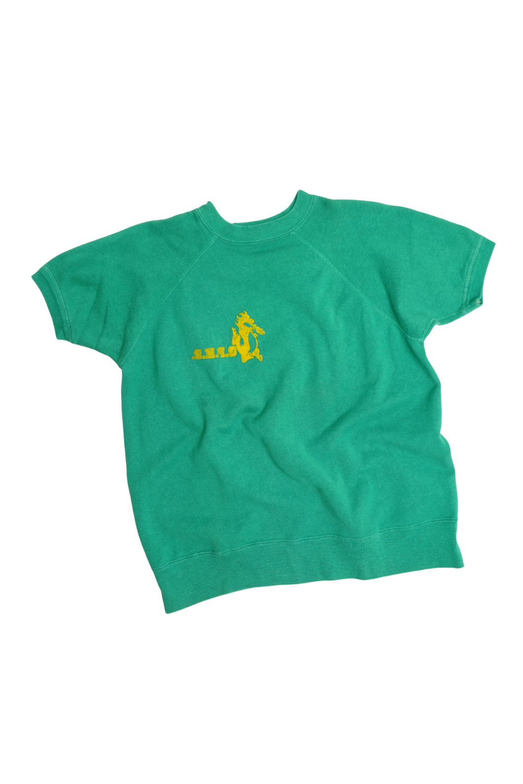 VINTAGE SWEATSHIRT | green team dragon