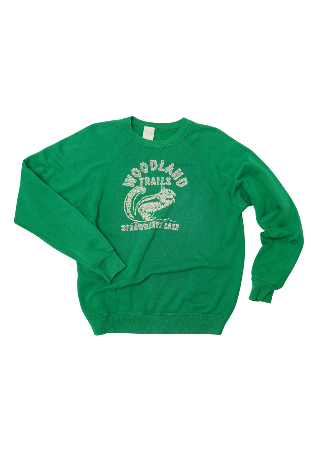 VINTAGE SWEATSHIRT | woodland trails